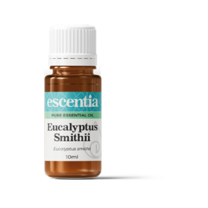 Eucalyptus Smithii Essential Oil