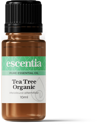 Tea Tree Organic Essential Oil - 10ml