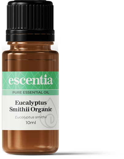 Eucalyptus Organic Essential Oil - 10ml