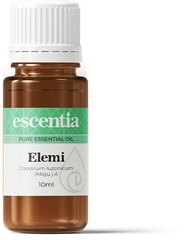 Elemi Essential Oil - 10ml