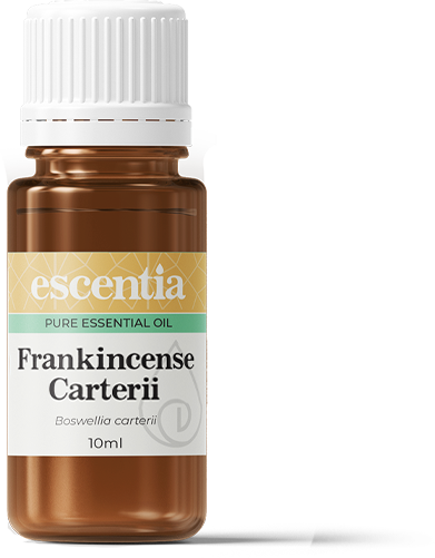 Frankincense Carterri Essential Oil - 10ml