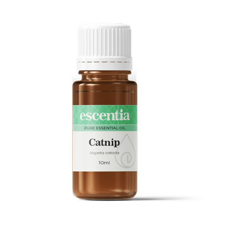 catnip essential oil 10ml Escentia Products