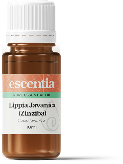 Lippia Javanica (Zinziba) Essential Oil - 10ml