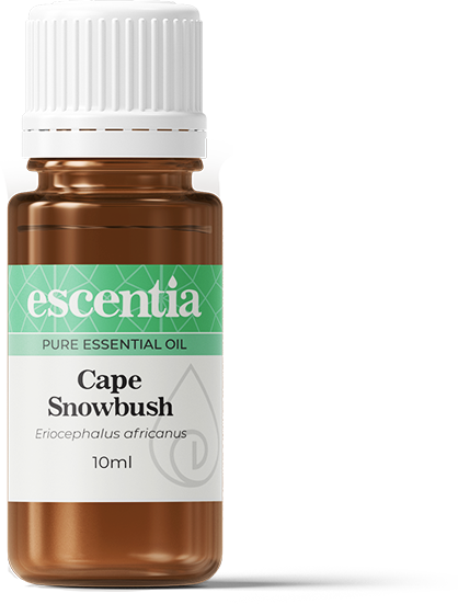 Cape Snowbush Essential Oil - 10ml