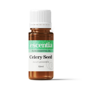 Celery Seed Essential Oil - 10ml