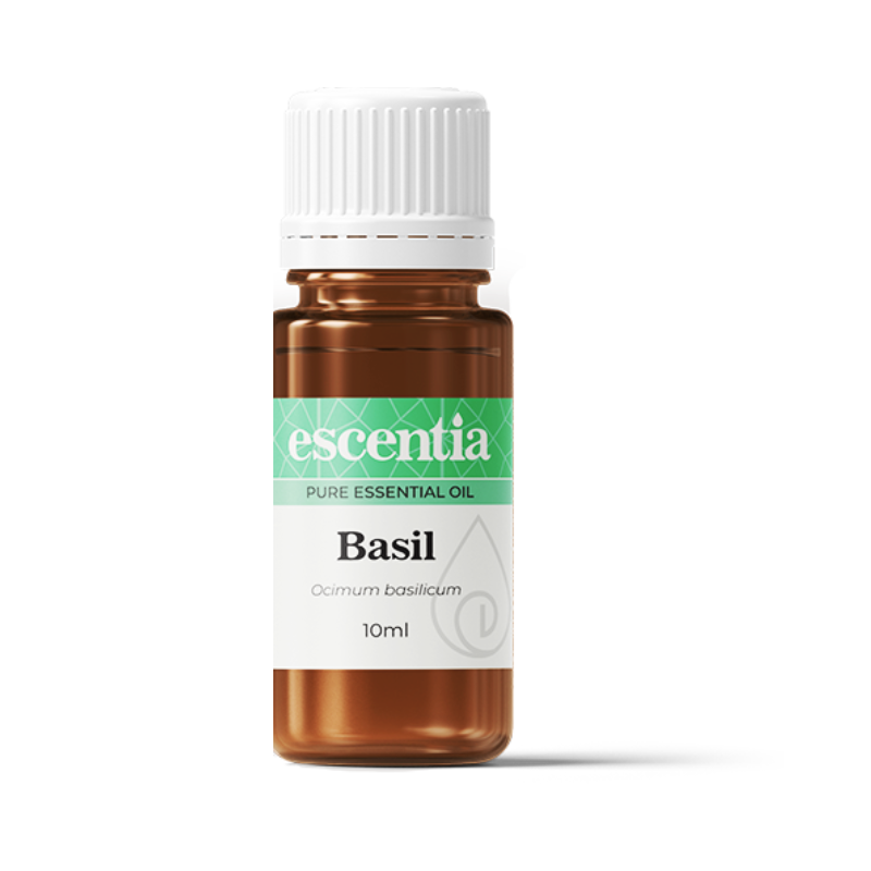 basil essential oil 10ml Escentia Products