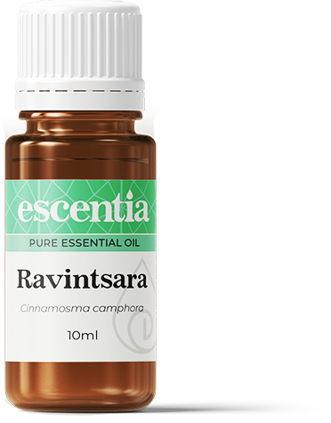Ravintsara Essential Oil - 10ml