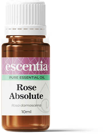 Rose Absolute Essential Oil - 10ml
