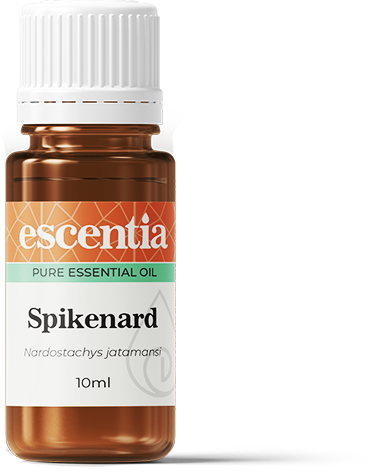 Spikenard Essential Oil - 10ml