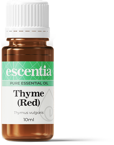 Thyme (Red) Essential Oil - 10ml
