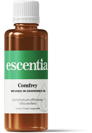 Comfrey Infused in Grapeseed Oil - 50ml