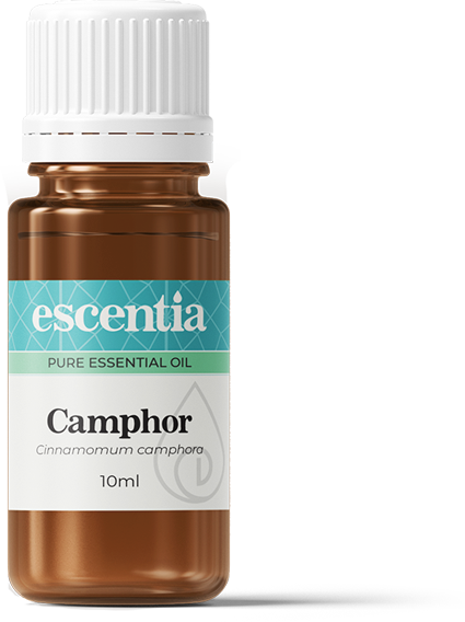 Camphor Essential Oil - 10ml