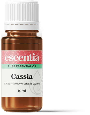 Cassia Essential Oil - 10ml