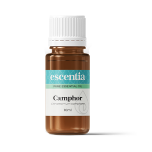 Camphor Essential Oil - 10ml